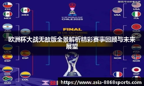 欧洲杯大战无敌版全景解析精彩赛事回顾与未来展望